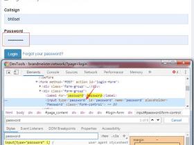 获取填写在网页表单中的密码