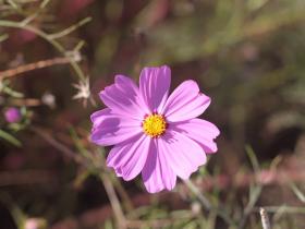 那些年,一起骑行的日子。。。。。。