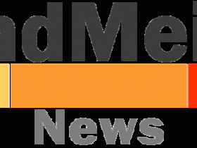 什么是 BrandMeister