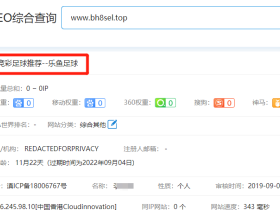 备案域名过期后被抢注用作非法用途